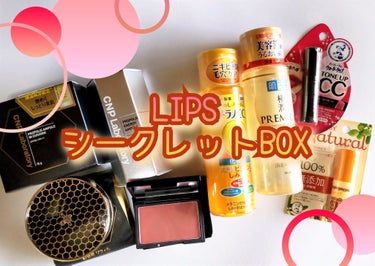 【クリアランスセール限定】シークレットボックス/LIPS/その他キットセットを使ったクチコミ（1枚目）