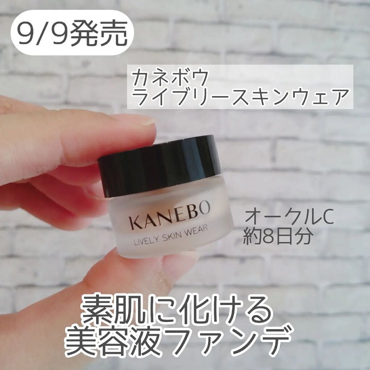 クリーム イン デイ/KANEBO/フェイスクリームを使ったクチコミ(3枚目)