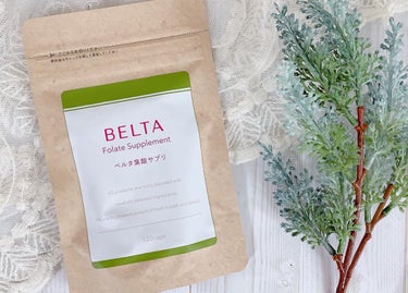 ベルタ葉酸サプリ/BELTA(ベルタ)/健康サプリメントを使ったクチコミ（2枚目）