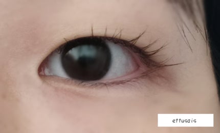 パーフェクトエクステンション マスカラ for カール/D-UP/マスカラを使ったクチコミ(8枚目)