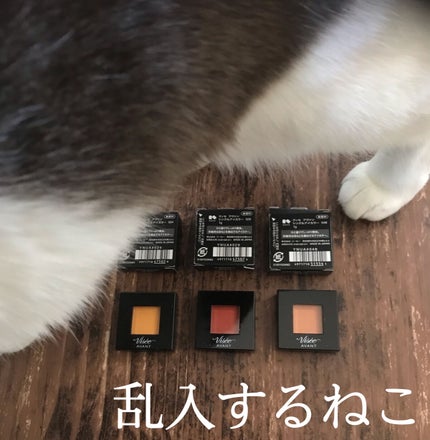 ヴィセ アヴァン シングルアイカラー/Visée/単色アイシャドウを使ったクチコミ(4枚目)