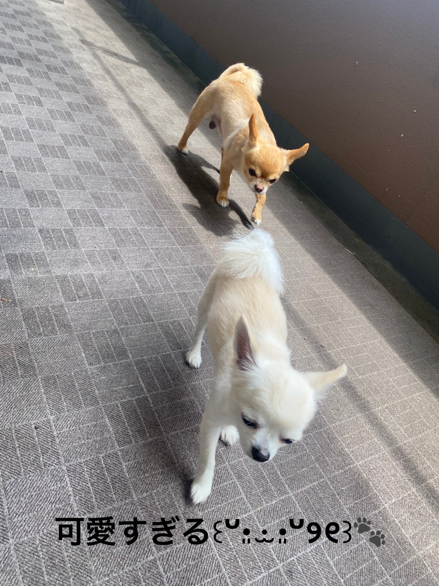 フェミニンウォッシュ マイメロディ/PH JAPAN(ピイ・エイチ・ジャパン) /デリケートゾーンケアを使ったクチコミ(7枚目)