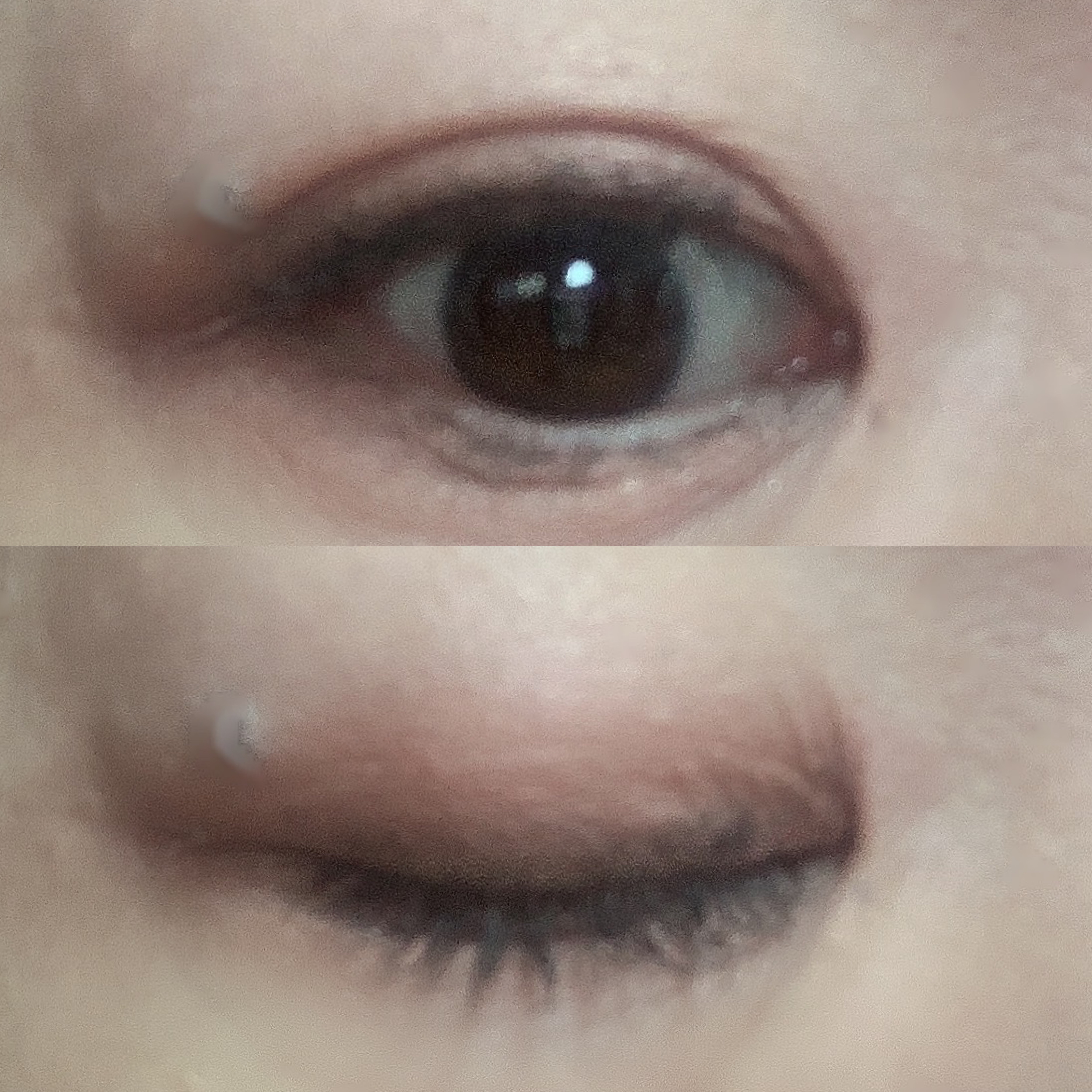 「塗るつけまつげ」自まつげ際立てタイプ/デジャヴュ/マスカラを使ったクチコミ（2枚目）