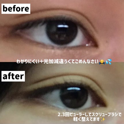 アイラッシュカーラー/セリア/ビューラーを使ったクチコミ(4枚目)