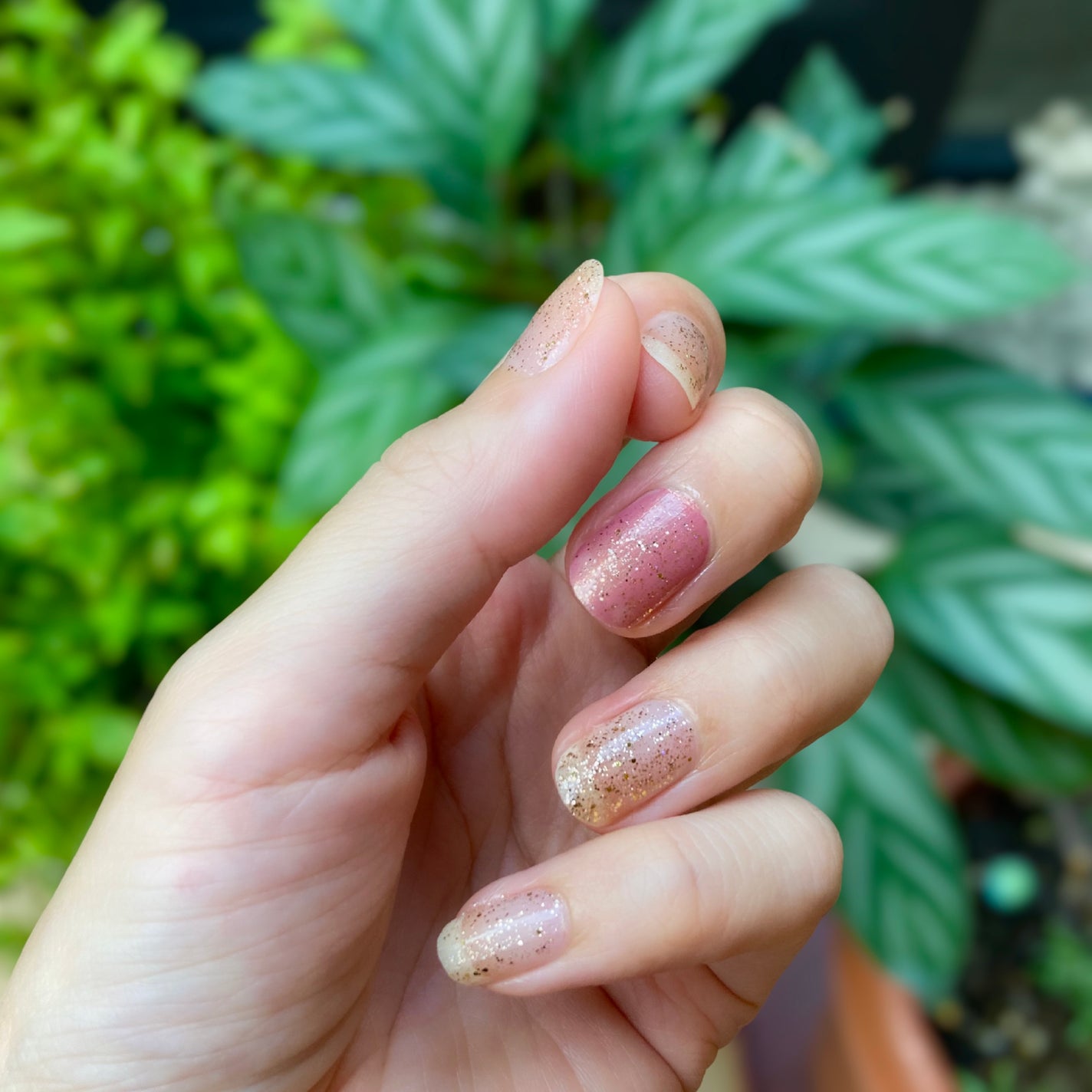 NM ピュアカラー/nailmatic/マニキュアを使ったクチコミ(2枚目)