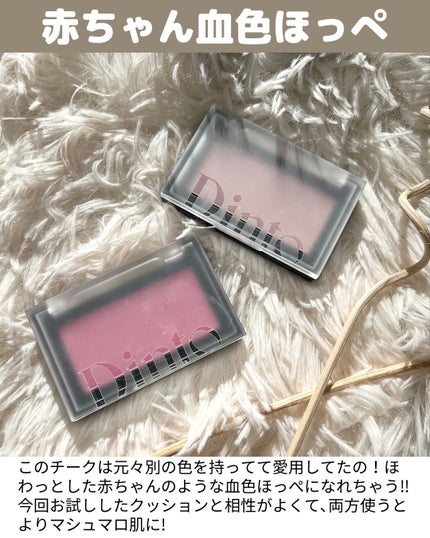 ブラーフィニシュブラッシャー/Dinto/パウダーチークを使ったクチコミ(7枚目)