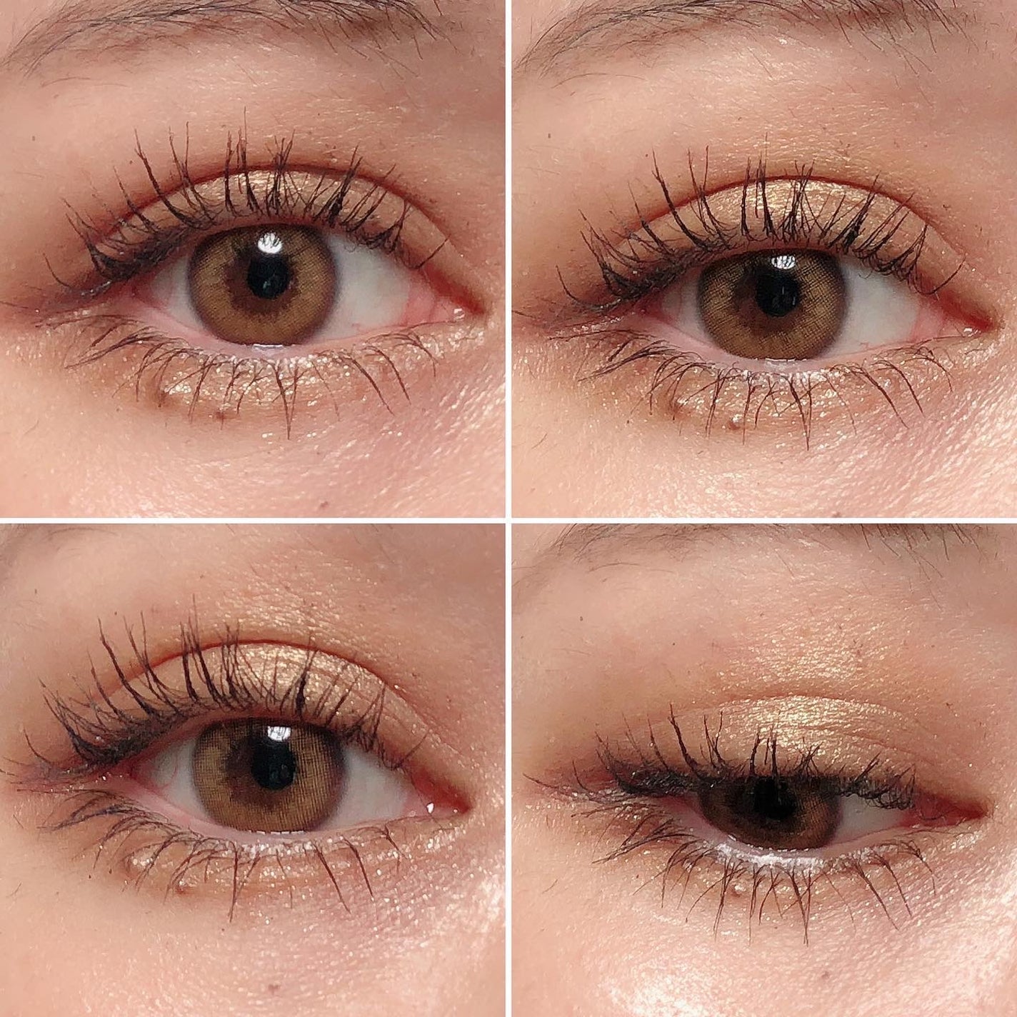 megu on LIPS 「飾りたい。もはや芸術✨ずっと見てられる、使うのがもったいないア..」(6枚目)