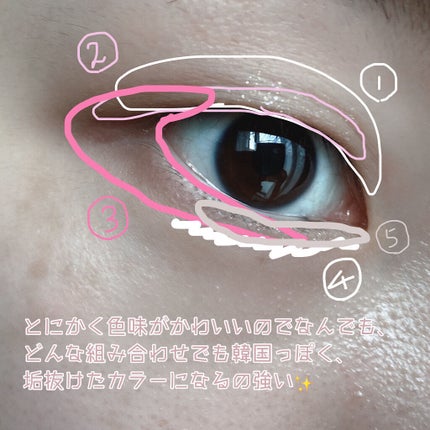 プロ アイ パレット/CLIO/アイシャドウパレットを使ったクチコミ(5枚目)