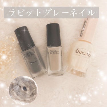 ネイルホリック Dusty pastel color GY018/ネイルホリック/マニキュアを使ったクチコミ（1枚目）