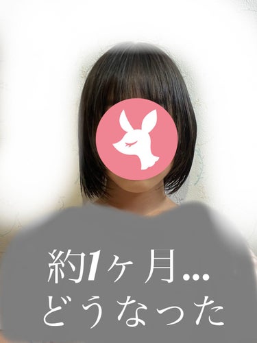 ヘアアクセルレーター レモンライムの香り/加美乃素本舗/頭皮ケアを使ったクチコミ（1枚目）