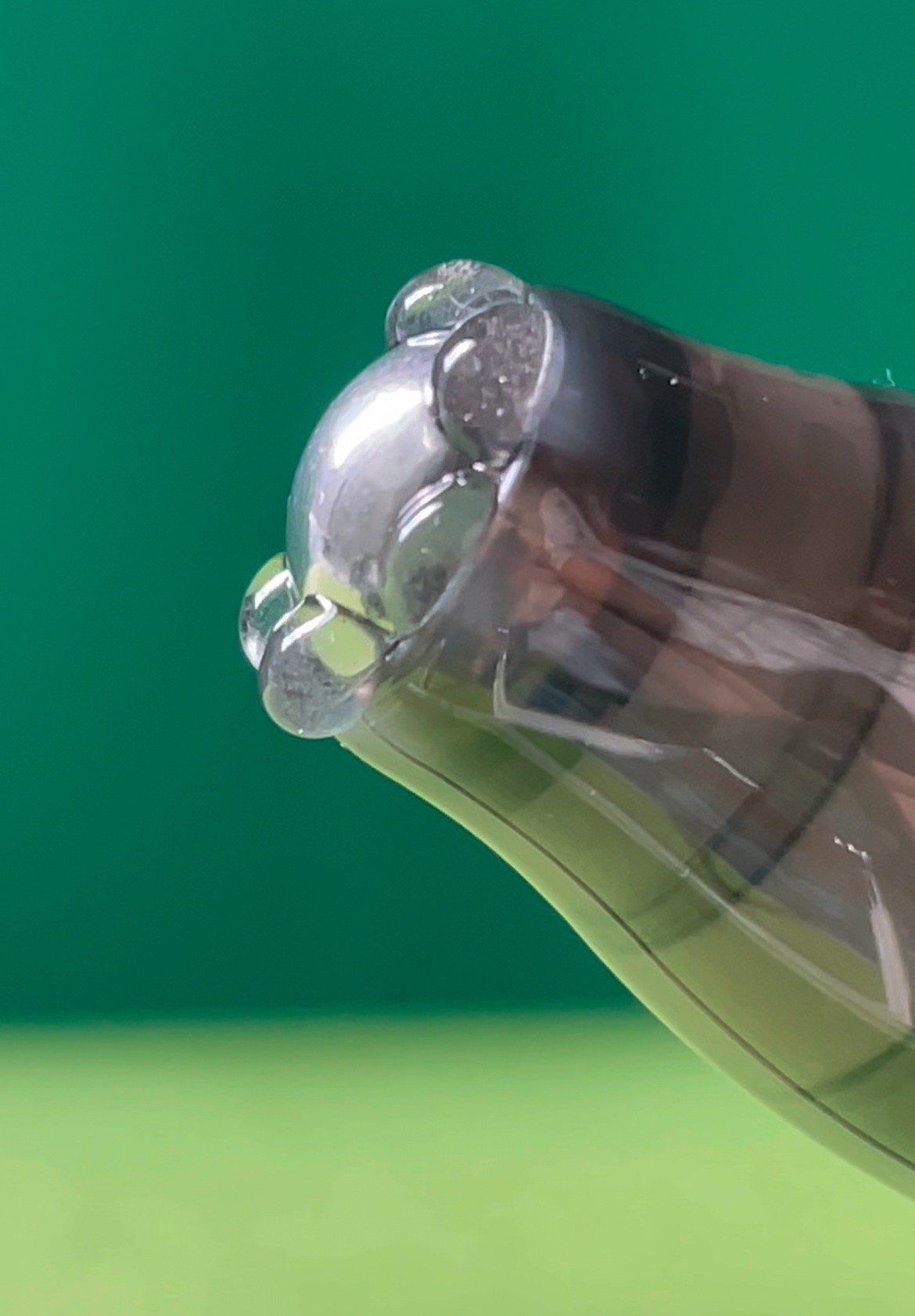 センティッドインテンシブスカルプアンプル/BANANAL/頭皮ローションを使ったクチコミ（3枚目）