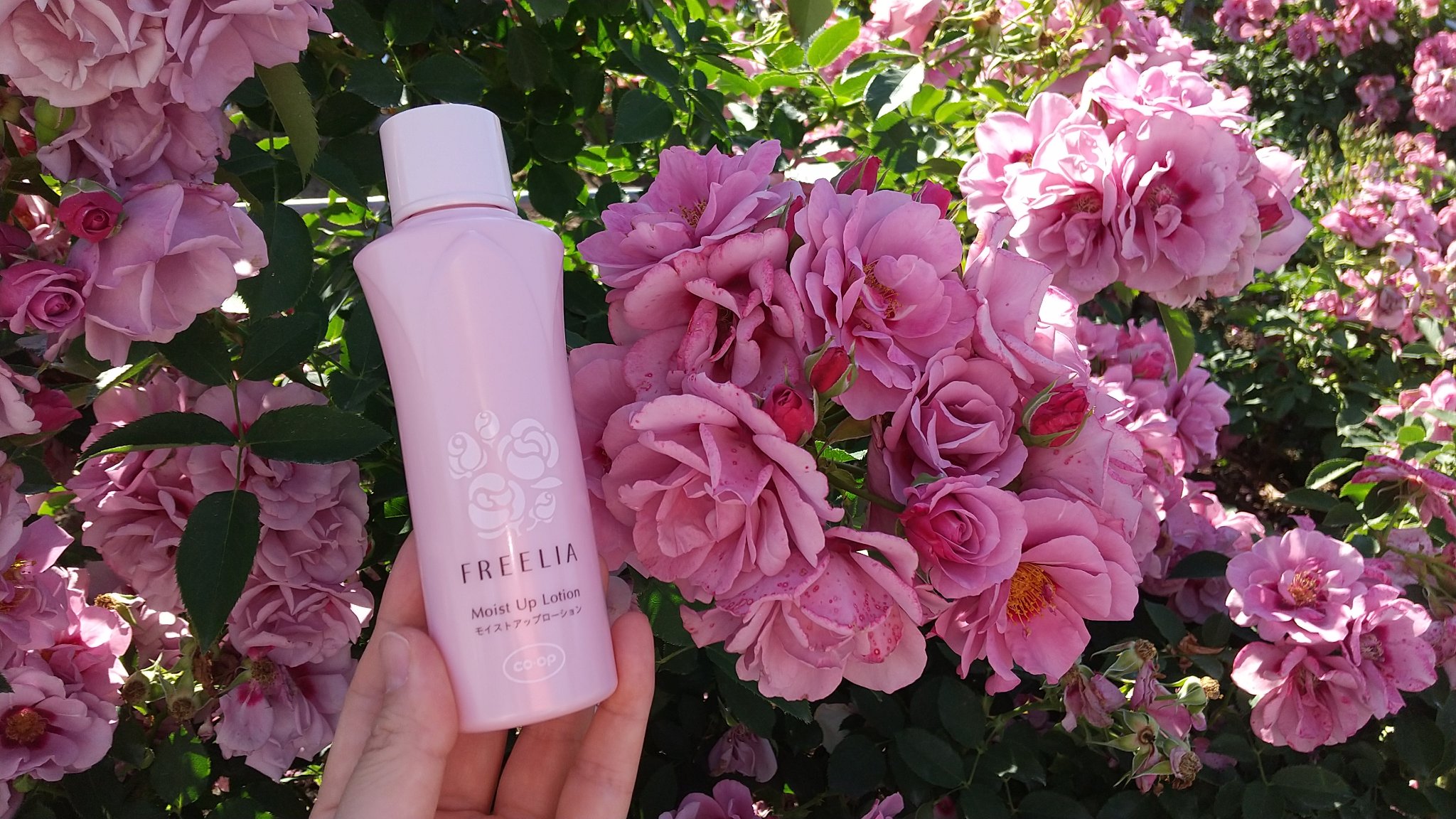 フリーリア モイストアップローションE /コープ/化粧水を使ったクチコミ（1枚目）
