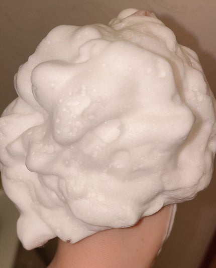 パーフェクトホワイトクレイ/SENKA(専科)/洗顔フォームを使ったクチコミ(5枚目)