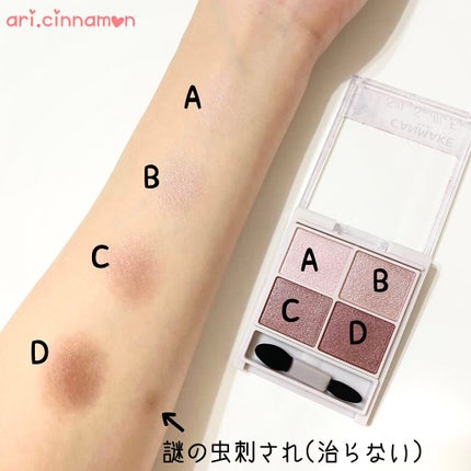 シルキースフレアイズ/キャンメイク/アイシャドウパレットを使ったクチコミ(4枚目)