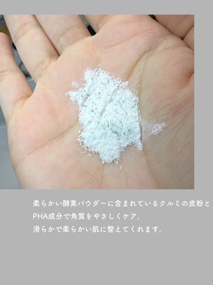 ティーツリーコントロール酵素洗顔パウダー/PAPA RECIPE/洗顔パウダーを使ったクチコミ(3枚目)