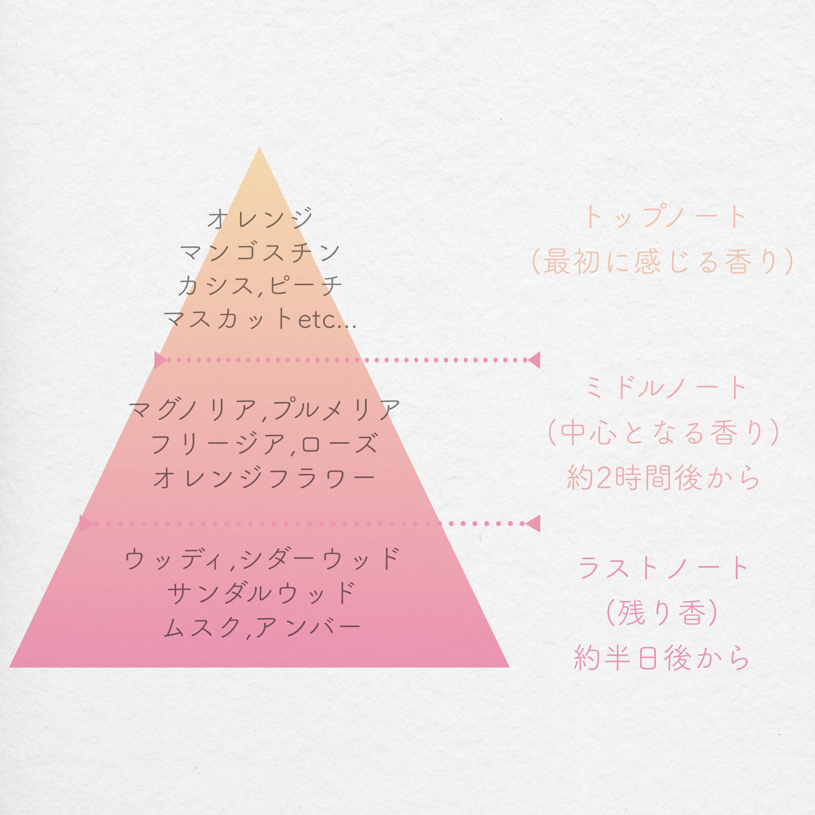 オイルインシャンプー／オイルインコンディショナー (グロス＆リペア)/ディアボーテ/市販シャンプーを使ったクチコミ（2枚目）