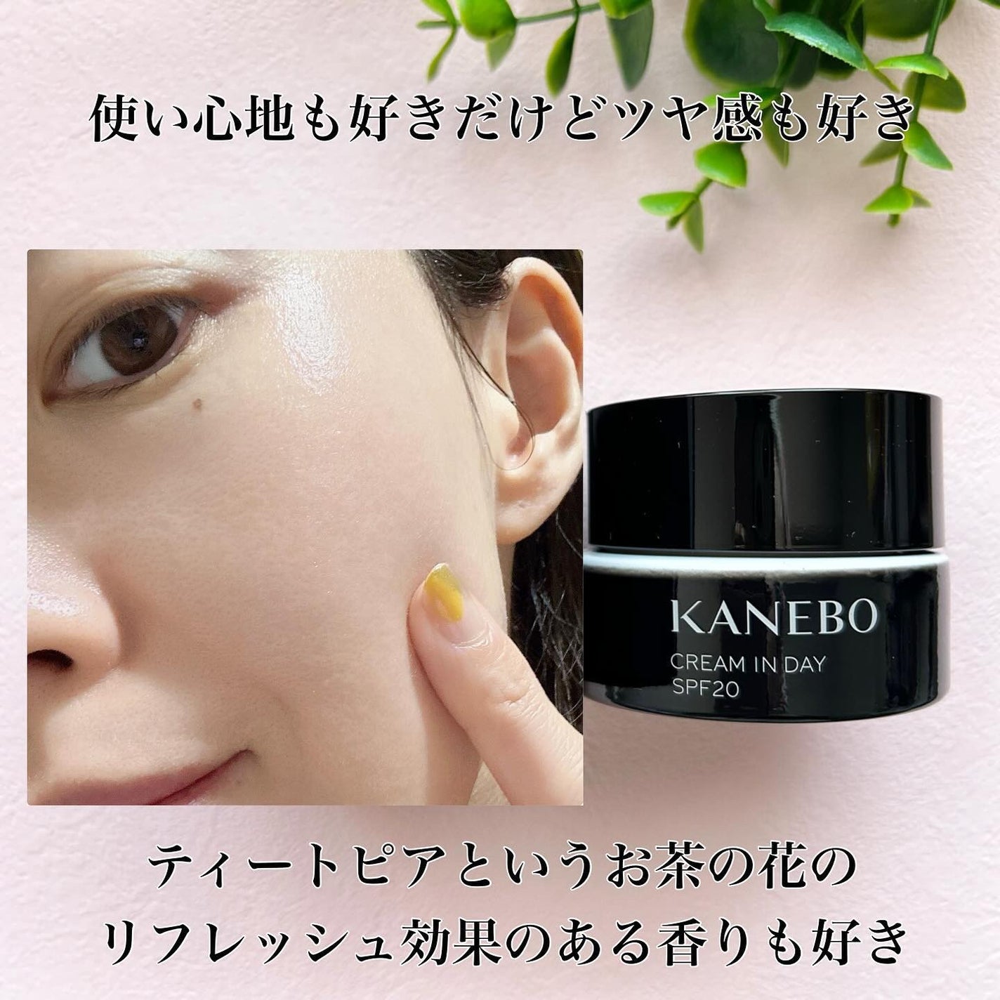 クリーム イン デイ/KANEBO/フェイスクリームを使ったクチコミ(4枚目)
