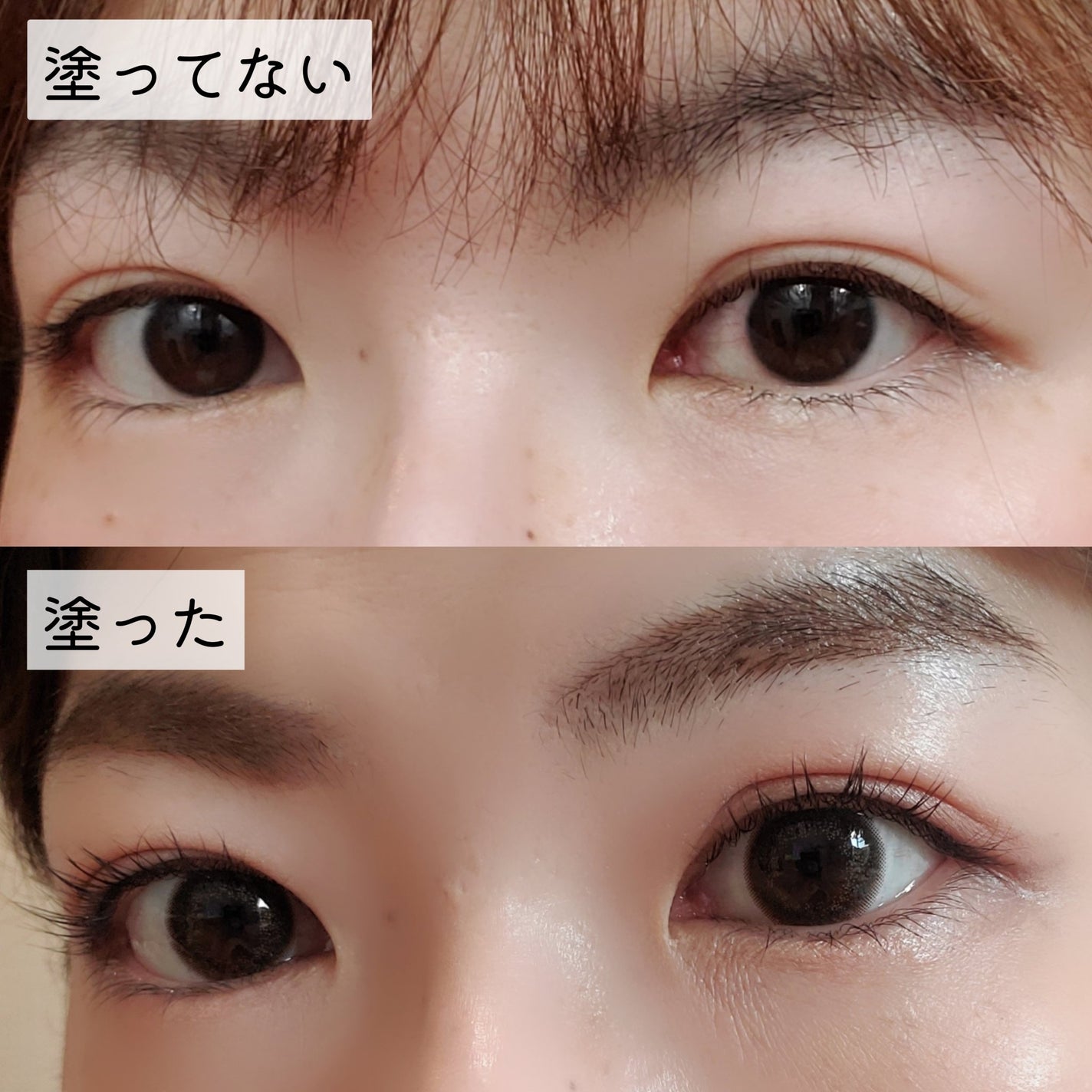 LASH & BROW ENRICHED BLACK SERUM/MARSHIQUE/まつげ美容液を使ったクチコミ(7枚目)