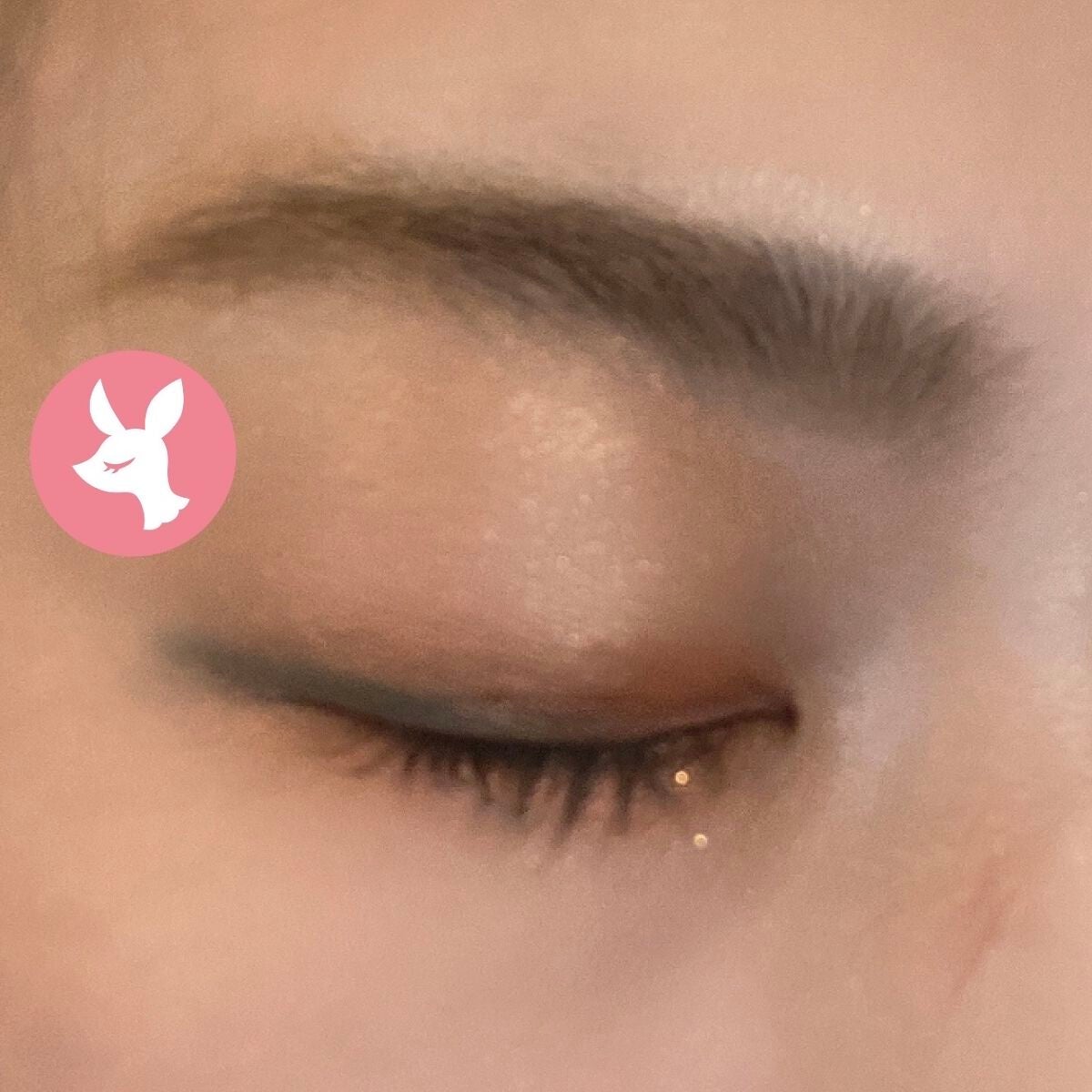 ザ アイシャドウ L/ADDICTION/単色アイシャドウを使ったクチコミ(6枚目)