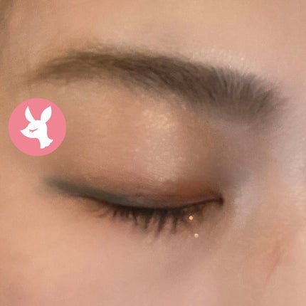 ザ アイシャドウ L 170 Smoky Emerald/ADDICTION/単色アイシャドウの画像