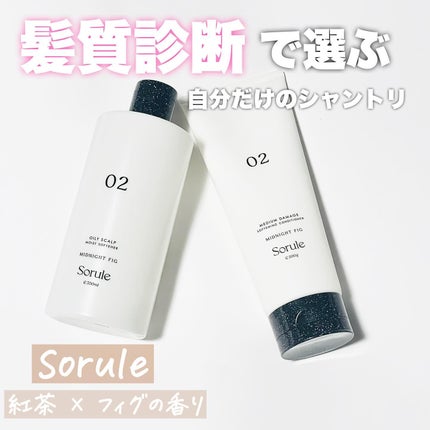 モイストソフナー 02オイリースカルプ/Sorule/市販シャンプーを使ったクチコミ(1枚目)