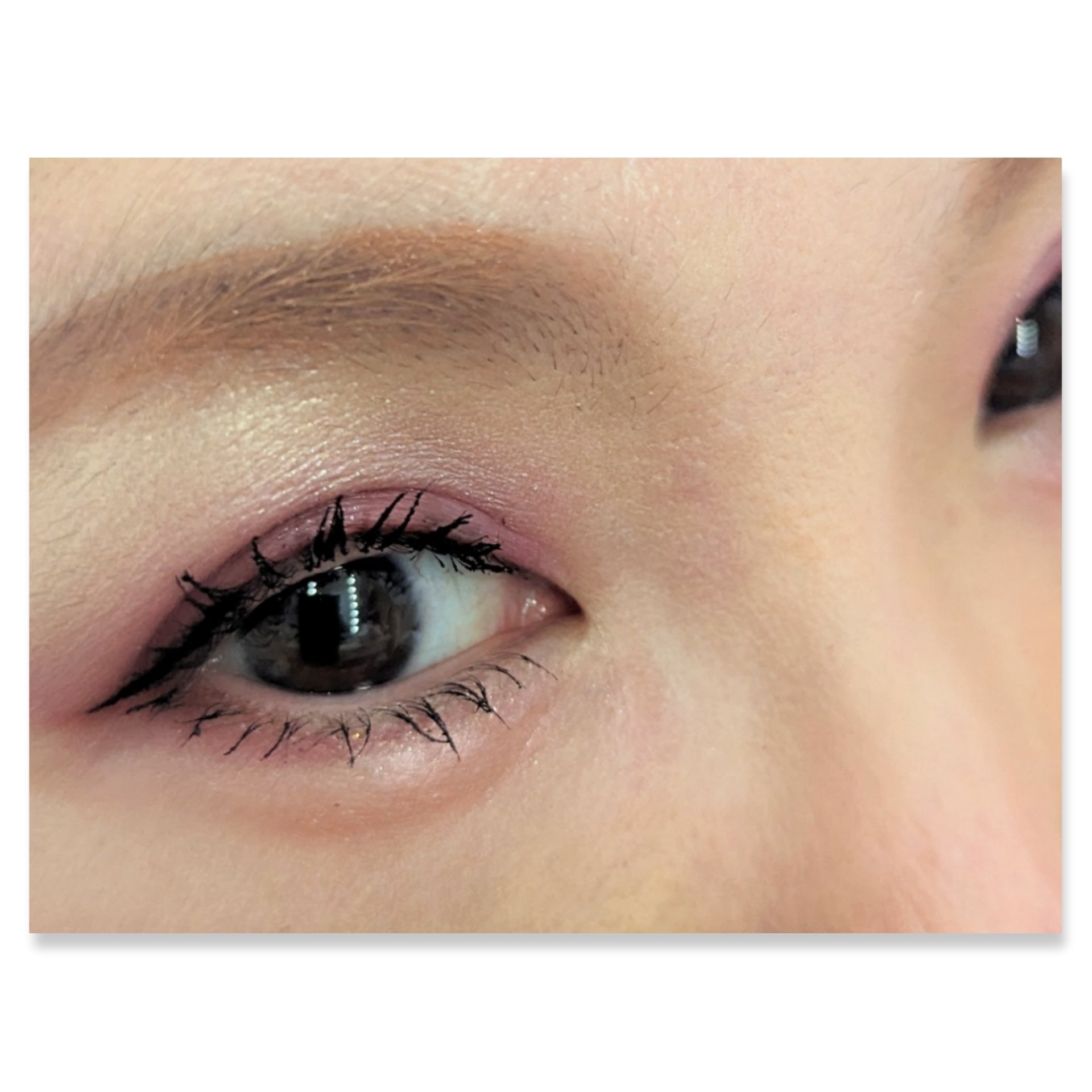 プレイカラーアイズミニ　ローズボム/ETUDE/アイシャドウパレットを使ったクチコミ（2枚目）