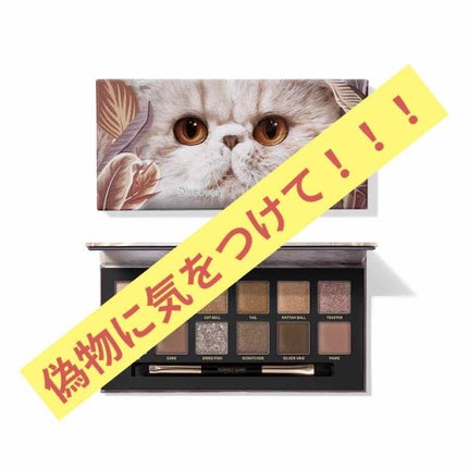 ãšã¯ã¹ãããŒã©12è² åç©ã¢ã€ã·ã£ããŠãã¬ãã/PERFECT DIARY/ã¢ã€ã·ã£ããŠãã¬ããã䜿ã£ãã¯ãã³ãïŒ1æç®ïŒ