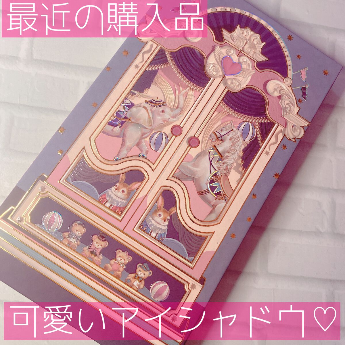 サーカスシリーズ12色アイシャドウパレット  02 Incredible Kingdom/FlowerKnows/アイシャドウパレットを使ったクチコミ（1枚目）