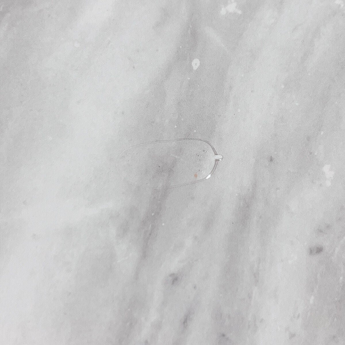 Rose on LIPS 「Diorのおすすめのトップコートをご紹介します✨最初はノベルテ..」(2枚目)