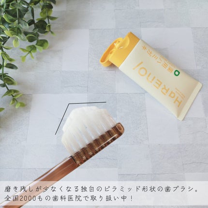 HaRENO/TOOTHPASTE 薬用ハミガキ/HaRENO/歯磨き粉を使ったクチコミ(5枚目)