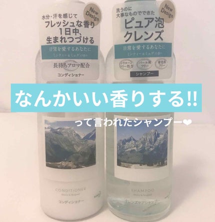 PYUAN ナチュラル シャンプー/コンディショナー/ピュアン/シャンプー・コンディショナーを使ったクチコミ(1枚目)