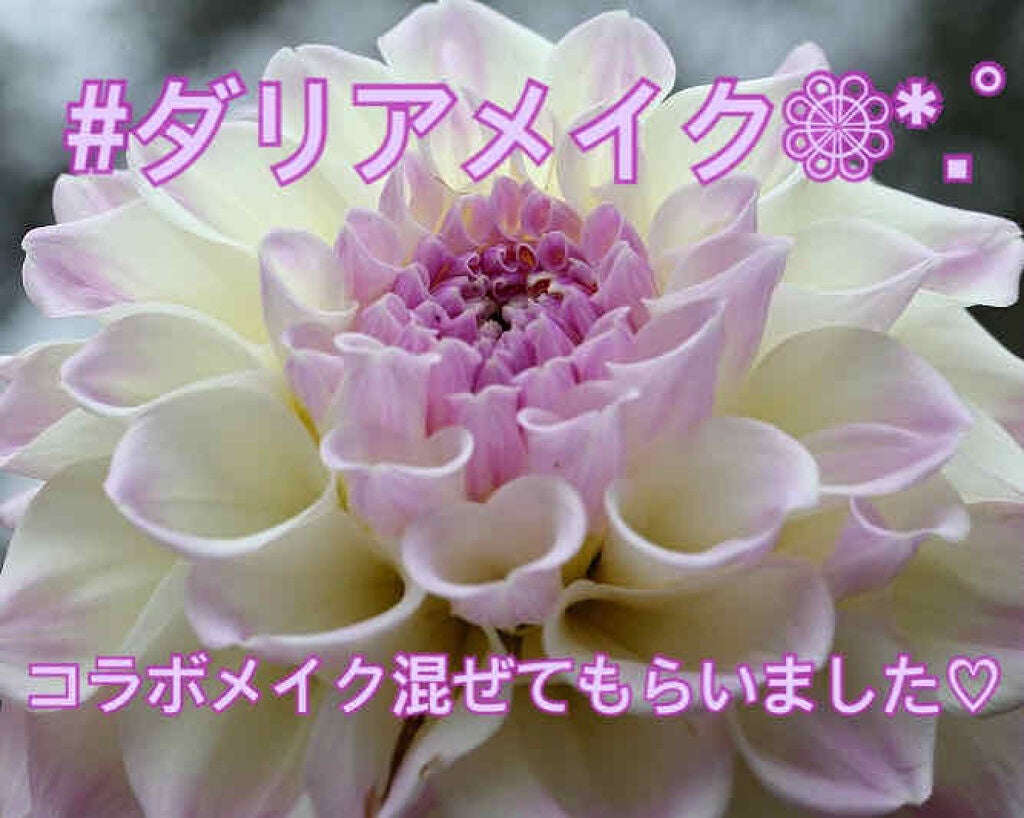 オペラ リップティント N/OPERA/リップティントを使ったクチコミ(1枚目)