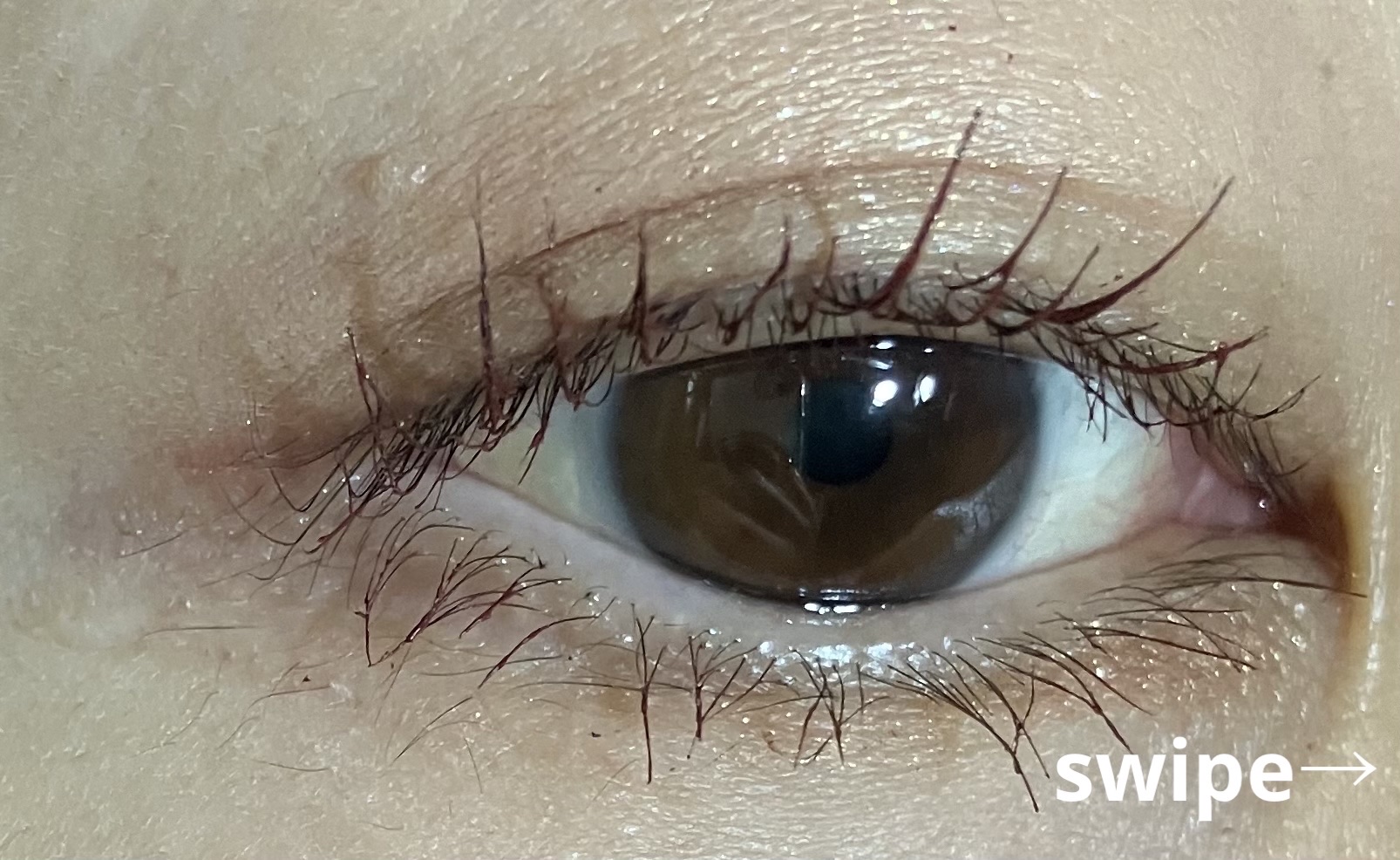 パーフェクトエクステンション マスカラ for カール ルビーブラウン/D-UP/マスカラを使ったクチコミ（3枚目）