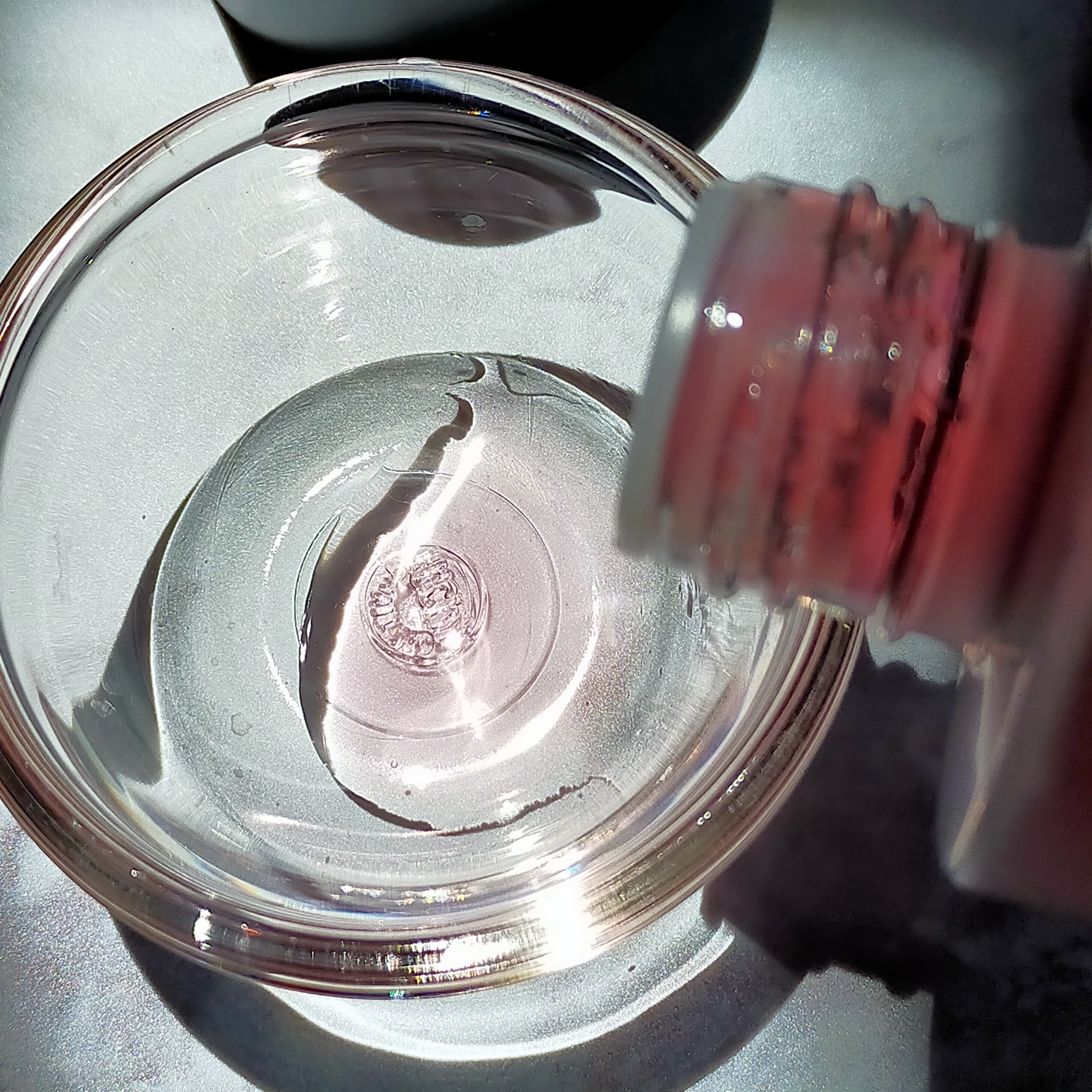 アンチリンクルファーストエッセンスオリジン/MIGUHARA/化粧水を使ったクチコミ（2枚目）