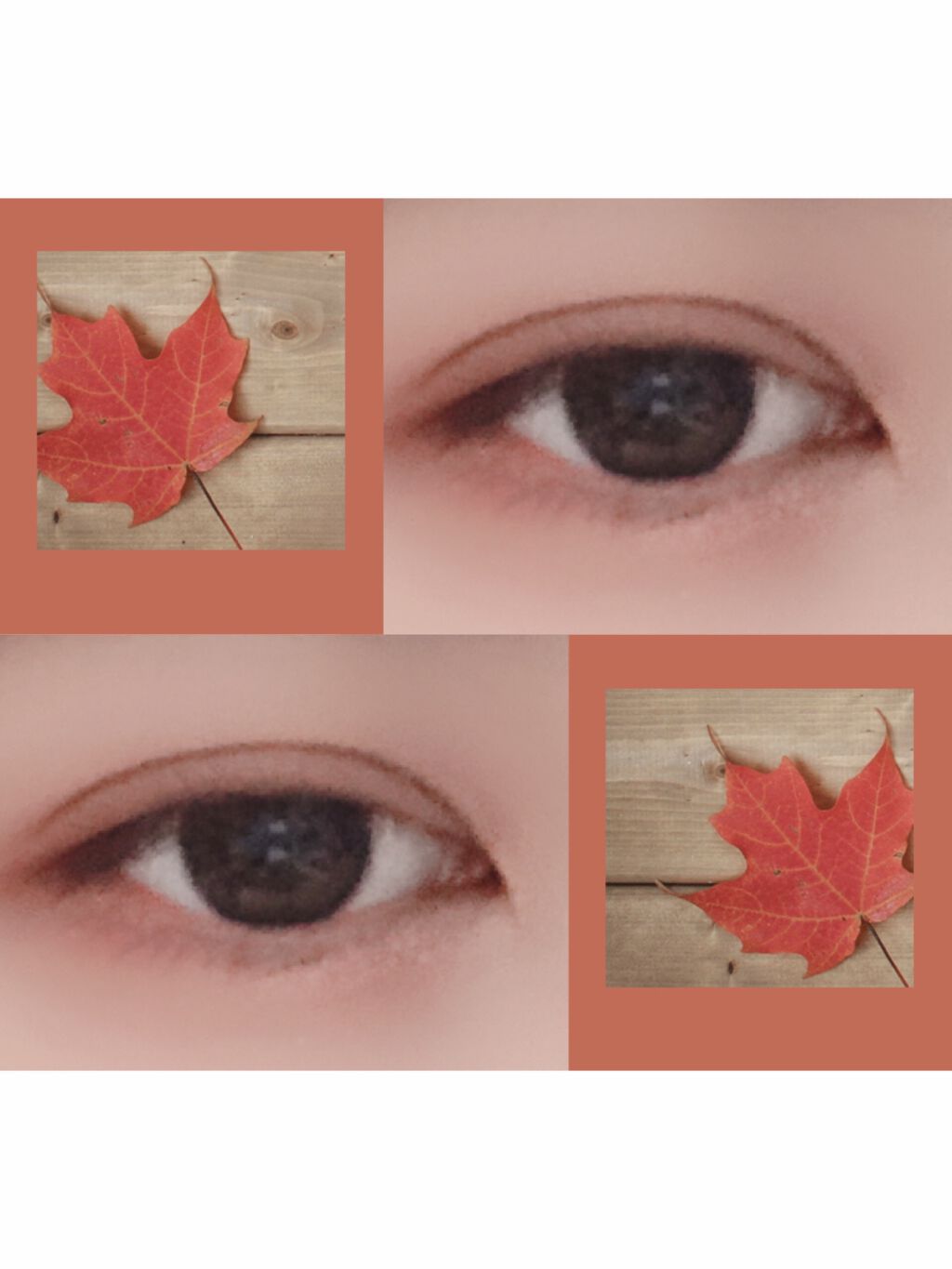 パーフェクトマルチアイズ/キャンメイク/アイシャドウパレットを使ったクチコミ（1枚目）