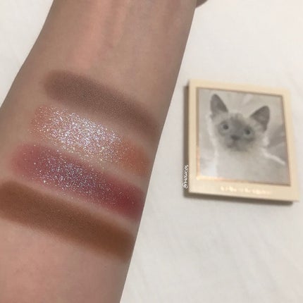 Venus Marble アイシャドウキャットシリーズ/Venus Marble/アイシャドウパレットを使ったクチコミ(4枚目)