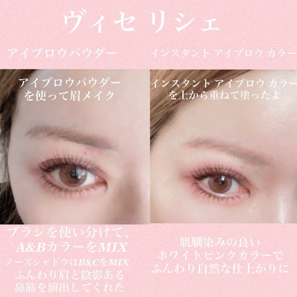 ヴィセ リシェ アイブロウパウダー/Visée/パウダーアイブロウを使ったクチコミ(6枚目)