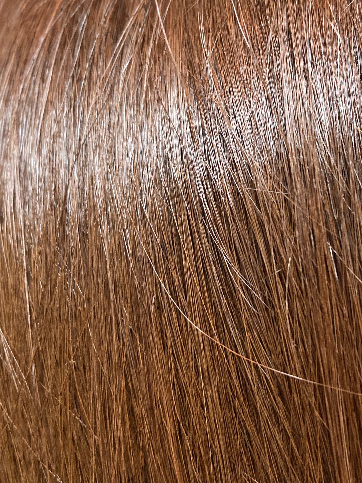 カラートリートメント/re:hairu/洗い流すヘアトリートメントを使ったクチコミ(8枚目)