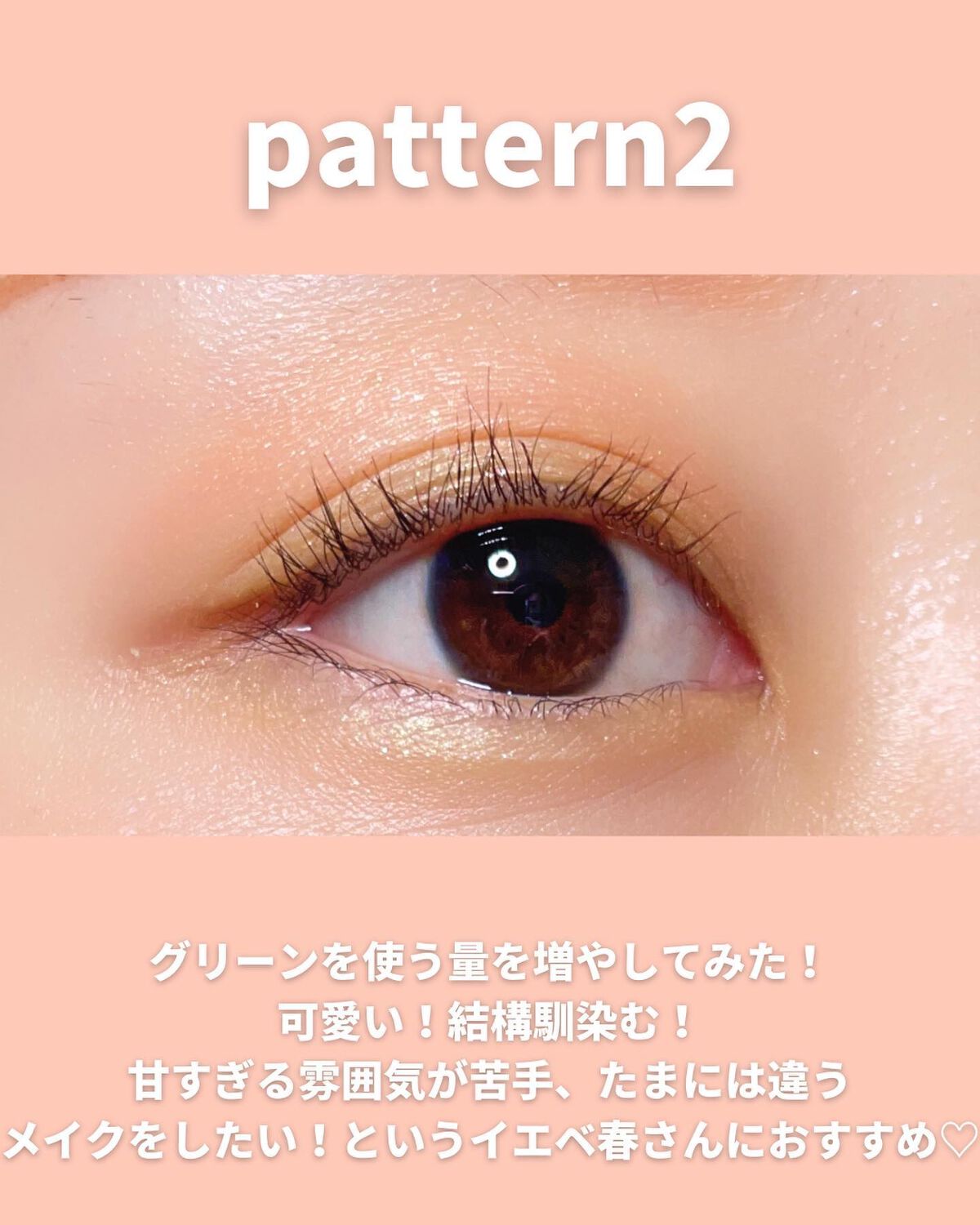 イレジスタブル アイシャドウ/anjir/アイシャドウパレットを使ったクチコミ(6枚目)