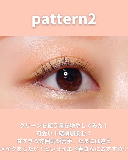 イレジスタブル アイシャドウ/anjir/アイシャドウパレットを使ったクチコミ(6枚目)