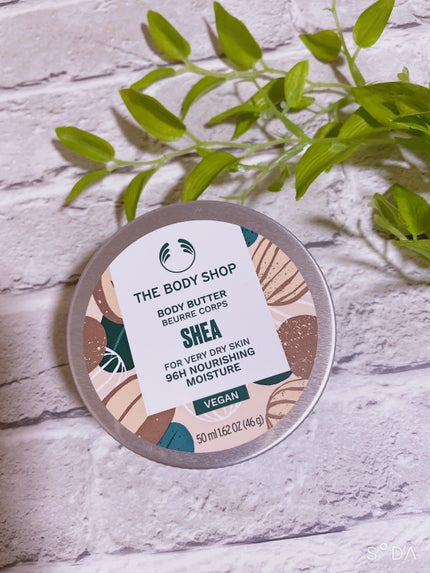 ボディバター シア 50ml/THE BODY SHOP/ボディクリームの画像