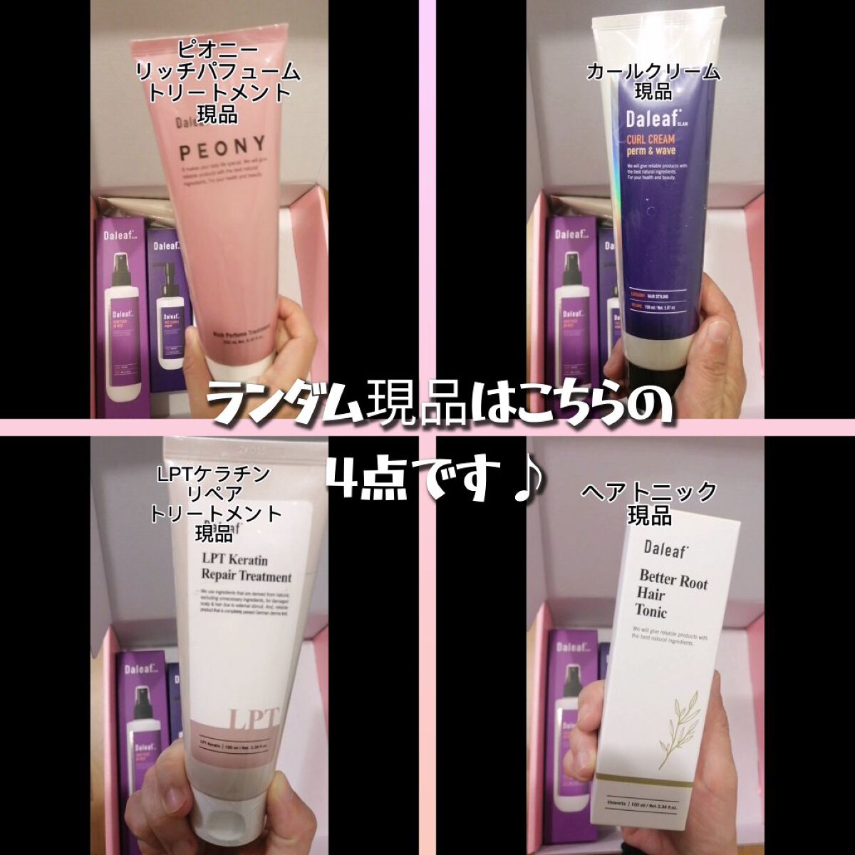 ダリーフ　ラッキーボックス/Daleaf/その他キットセットを使ったクチコミ（3枚目）