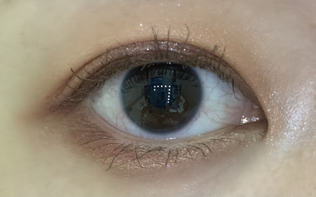 シルキースフレアイズ（マットタイプ）/キャンメイク/アイシャドウパレットを使ったクチコミ（3枚目）