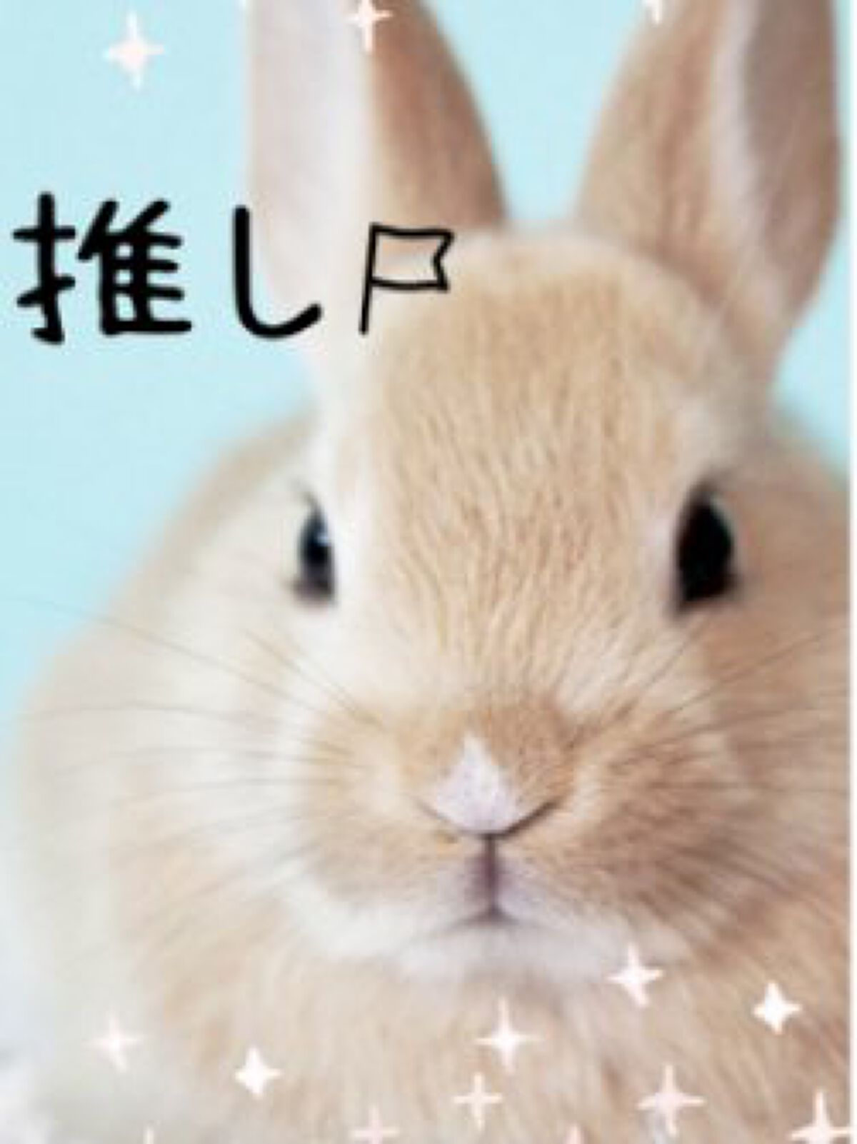 プロポリスエナジートナー/Bonajour/化粧水を使ったクチコミ(4枚目)