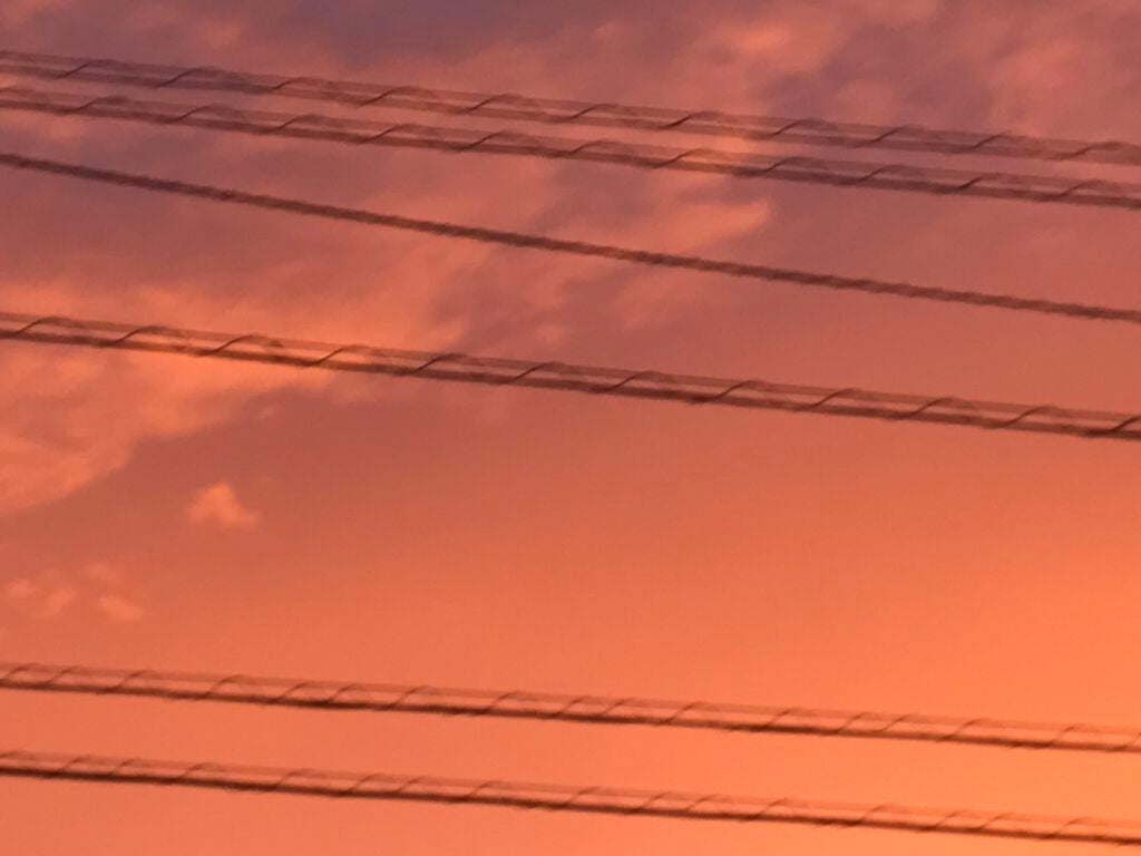 CCオイル/エッセンシャル/ヘアオイルを使ったクチコミ(2枚目)