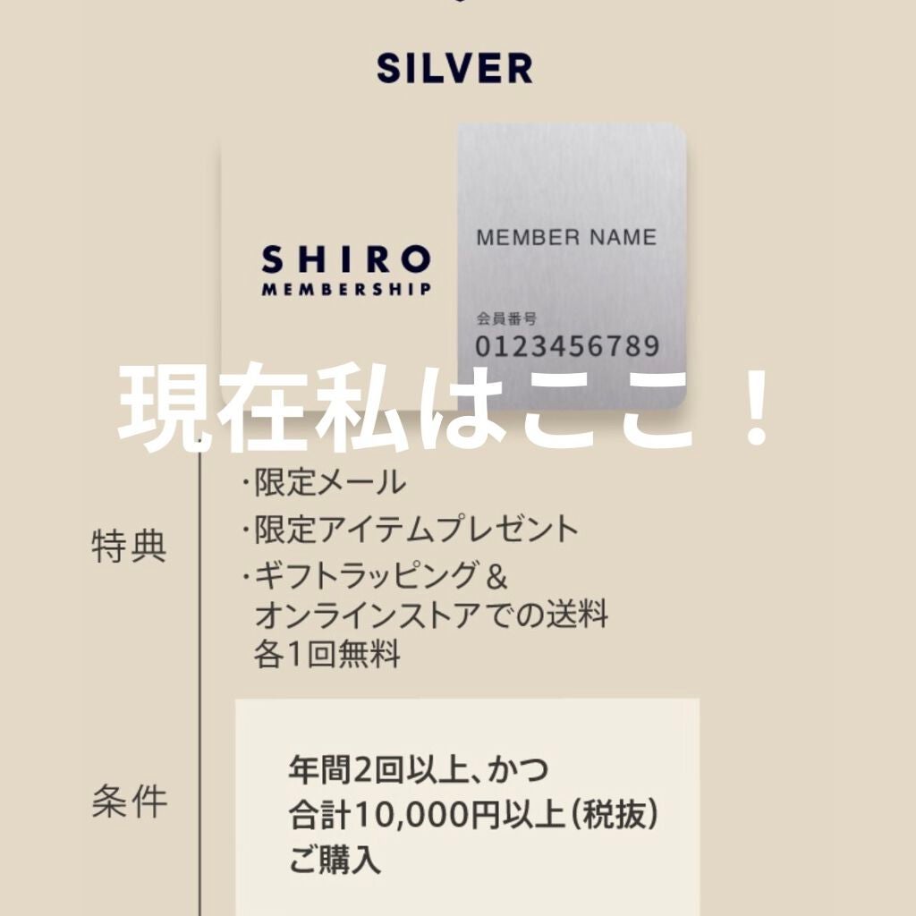 サボン ハンド美容液/SHIRO/ハンドクリームを使ったクチコミ(5枚目)