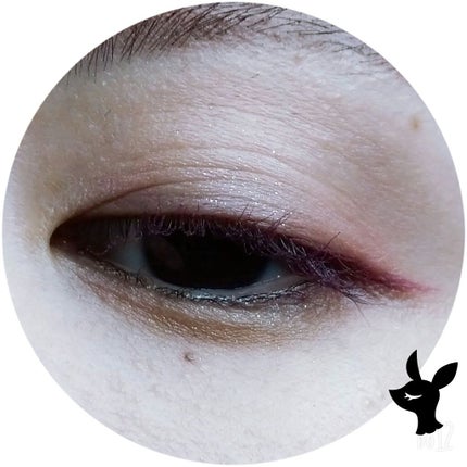 1DAY TATTOO プロキャスト ザ・アイライナー/K-パレット/リキッドアイライナーを使ったクチコミ(4枚目)