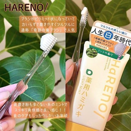 コンパクトスタイラー/TANGLE TEEZER/ヘアブラシを使ったクチコミ(6枚目)