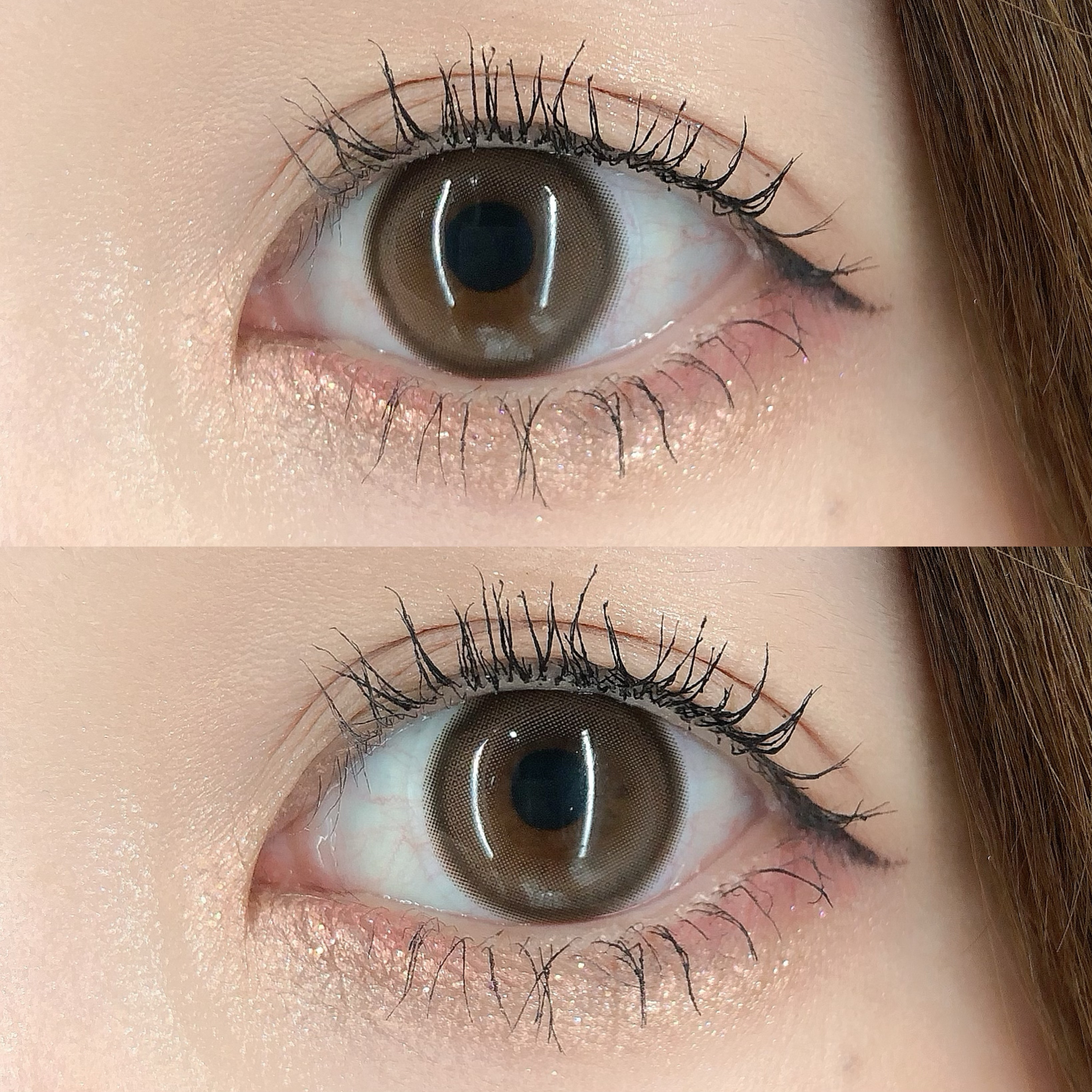 chiffon chiffon brown/meilly/ワンデー（１DAY）カラコンを使ったクチコミ（3枚目）