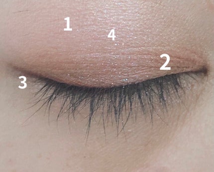 プロ アイ パレット/CLIO/アイシャドウパレットを使ったクチコミ(3枚目)